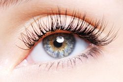 woman eye with curl false eyelashes low angle view 250x166 - مجله خبری